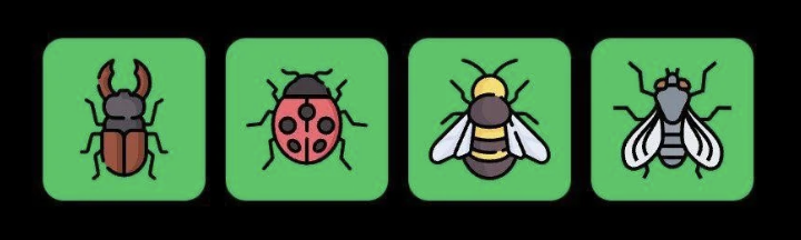 FLIES Daily Combo 4 June 2025